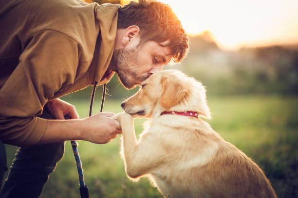 Comment avoir un chien bien eduque