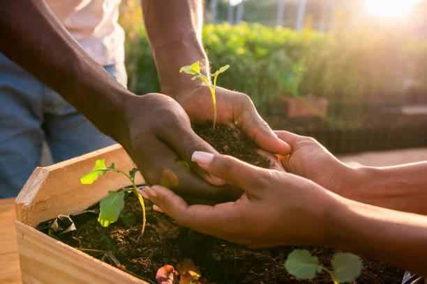 Cours de permaculture a distance2