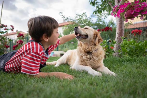 Eduquer son chien pour les enfants