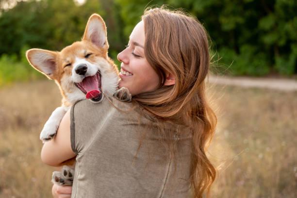 Les bienfaits du dressage pour le chien et son maitre