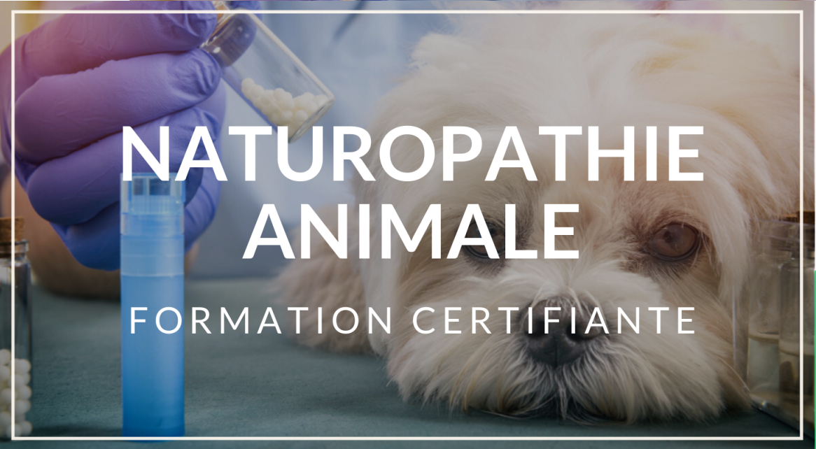 Naturopathie animaliere 3