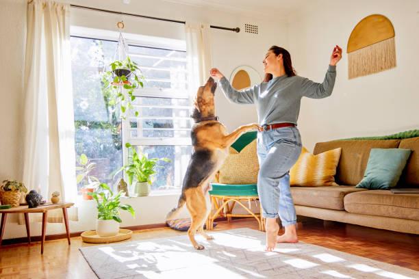 Renforcer le lien avec son chien